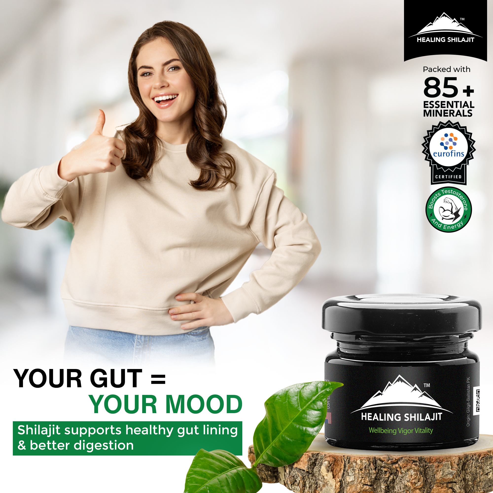 shilajit benefits