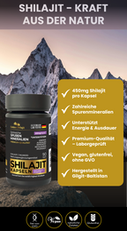 Shilajit Capsules - Standardized Extract | 90 Capsules | Convenient Dietary Food Supplement