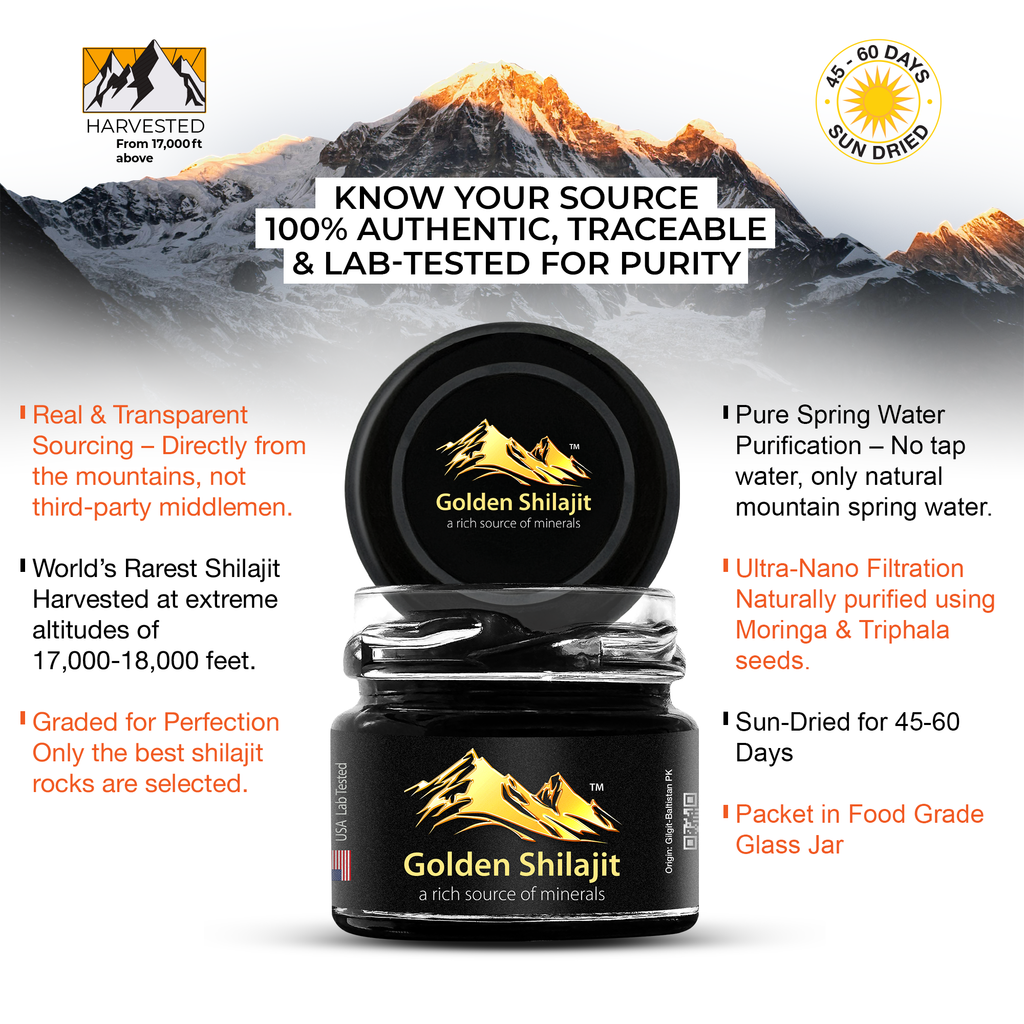 Shilajit source