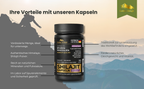 Mumijo Kapseln – Standardisierter Extrakt | 90 Kapseln | Praktisches Nahrungsergänzungsmittel
