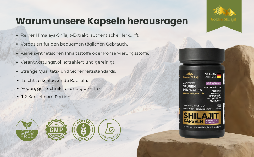 Mumijo Kapseln – Standardisierter Extrakt | 90 Kapseln | Praktisches Nahrungsergänzungsmittel